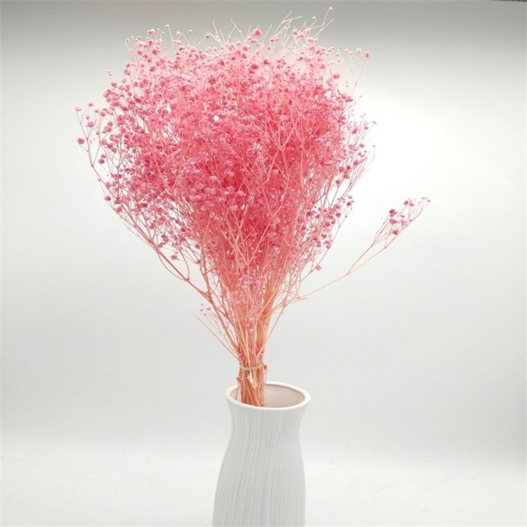 2019 Best Selling Flower Decorative Preserved Babysbreath Gypsophila for Celebration