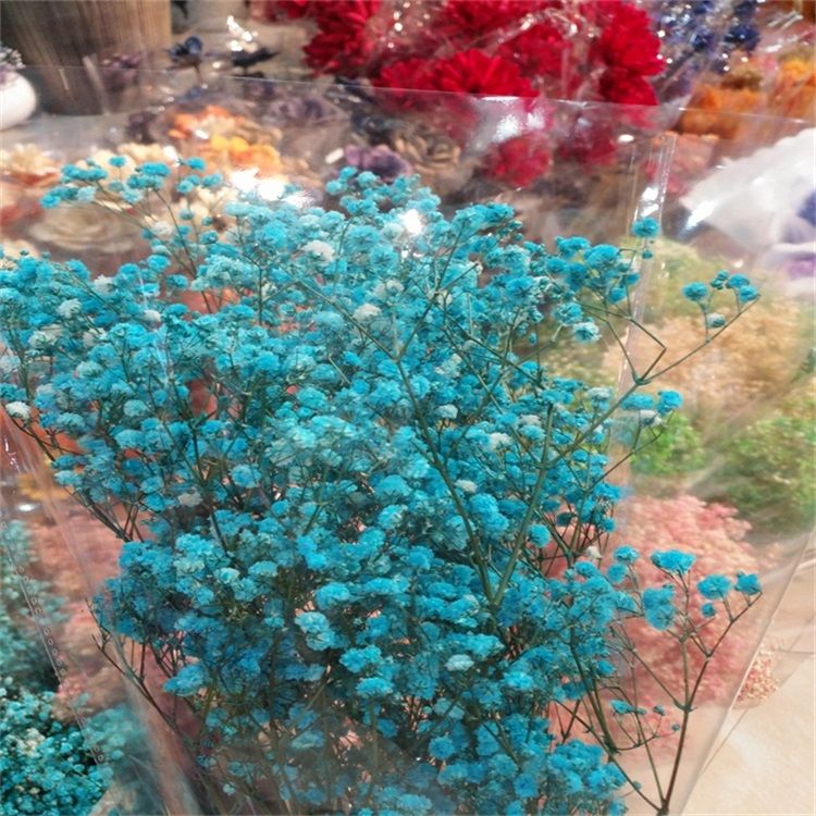 2019 Best Selling Flower Decorative Preserved Babysbreath Gypsophila for Celebration