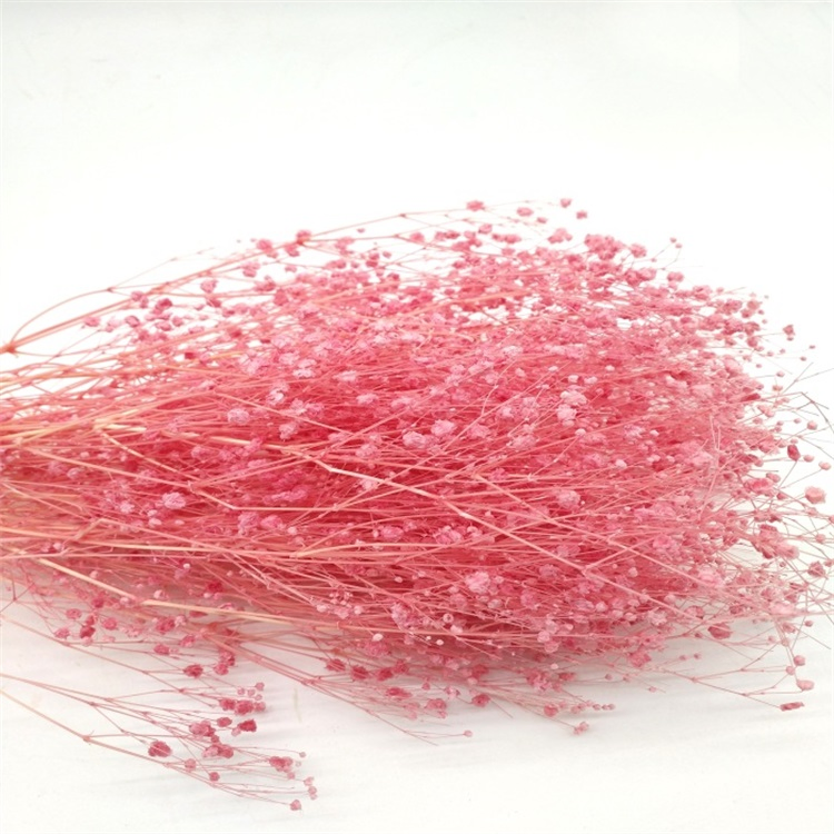 2021 Best Selling Flower Decorative Preserved Babysbreath Gypsophila for Celebration