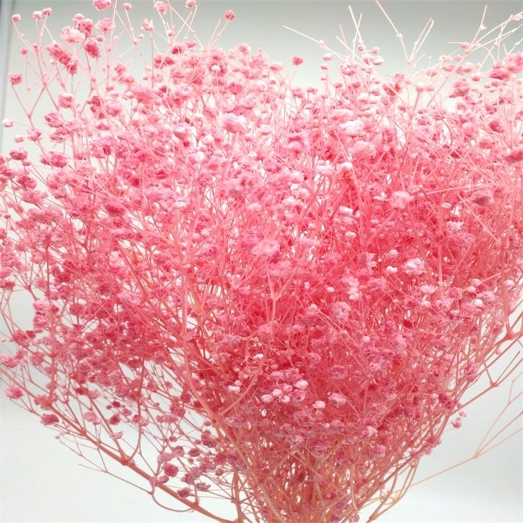 2019 Best Selling Flower Decorative Preserved Babysbreath Gypsophila for Celebration