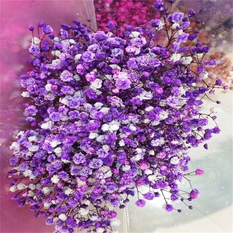 2019 Best Selling Flower Decorative Preserved Babysbreath Gypsophila for Celebration