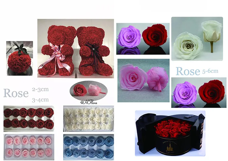 3-4cm Immortal Rose A Grade Immortal Flower Dried Flower