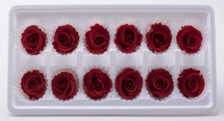 3-4cm Immortal Rose A Grade Immortal Flower Dried Flower