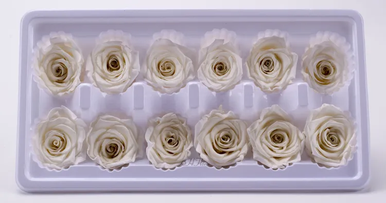 3-4cm Immortal Rose A Grade Immortal Flower Dried Flower