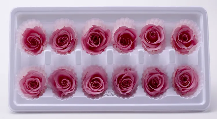 3-4cm Immortal Rose A Grade Immortal Flower Dried Flower