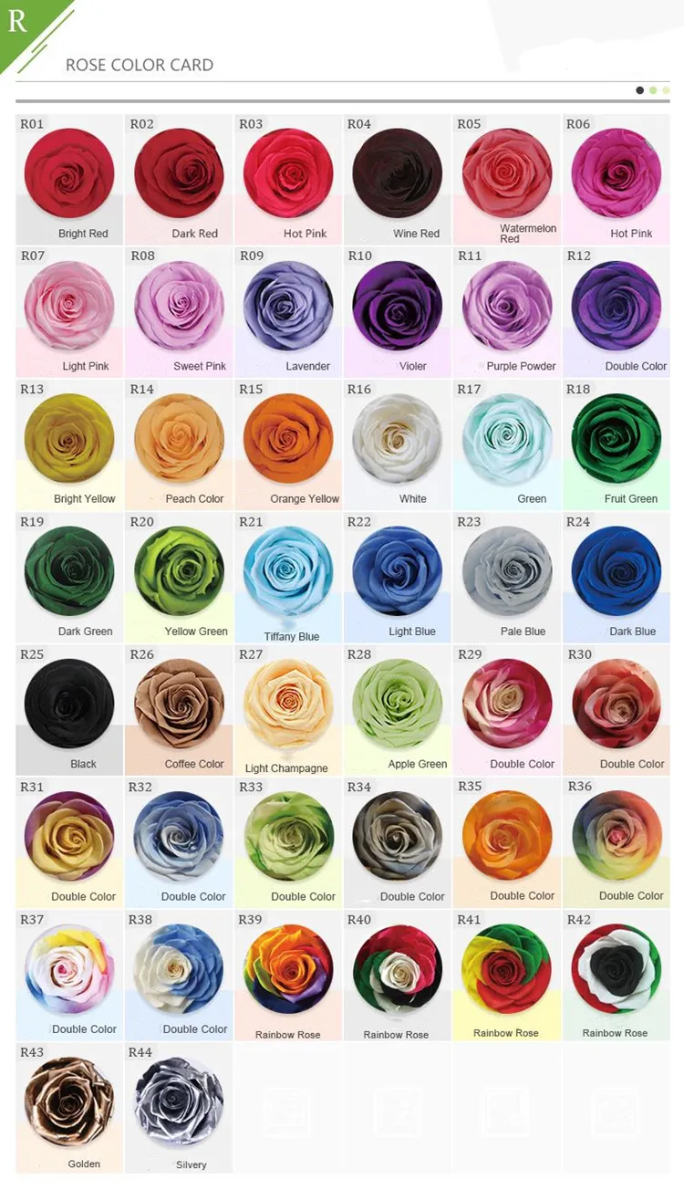 3-4cm Immortal Rose A Grade Immortal Flower Dried Flower