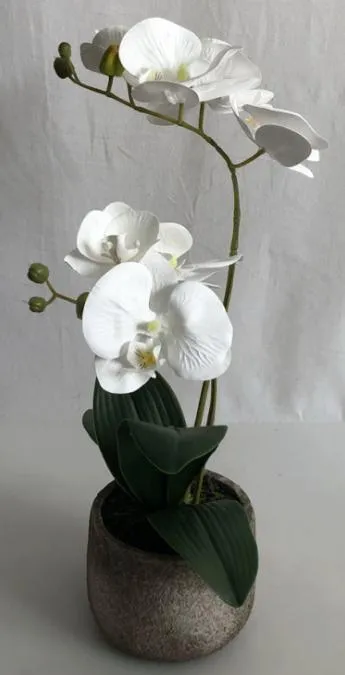 45cm H Double Stems Pink Plastic Orchid in Cement Pot