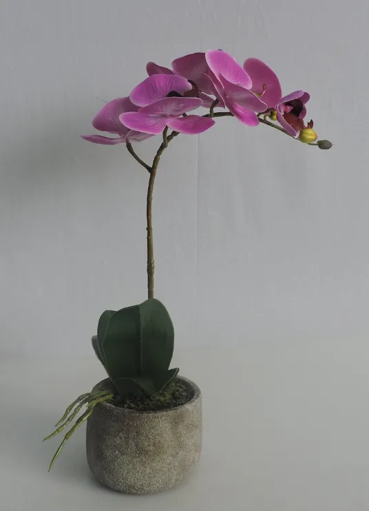 45cm H Double Stems Pink Plastic Orchid in Cement Pot
