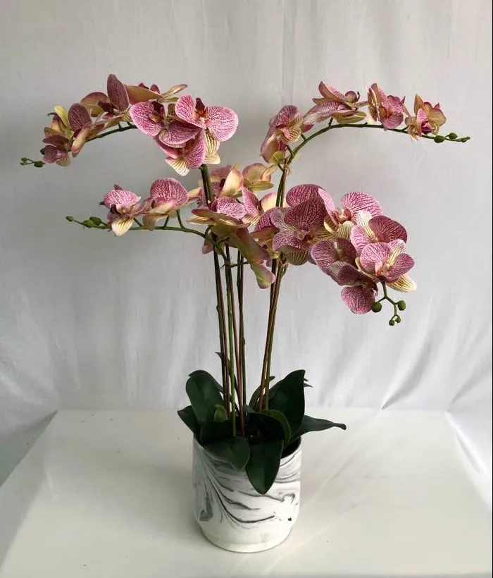 45cm H Double Stems Pink Plastic Orchid in Cement Pot