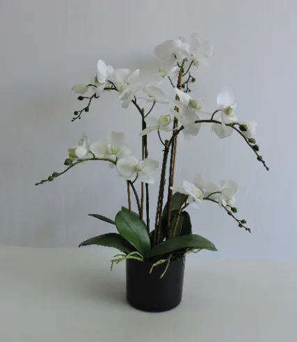 45cm H Double Stems Pink Plastic Orchid in Cement Pot