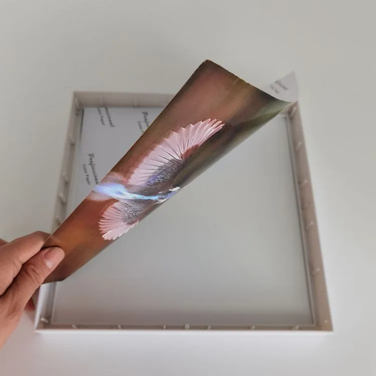 8X8/12 Picture Wall Decor Restickable Plastic Handmade Photo Frame