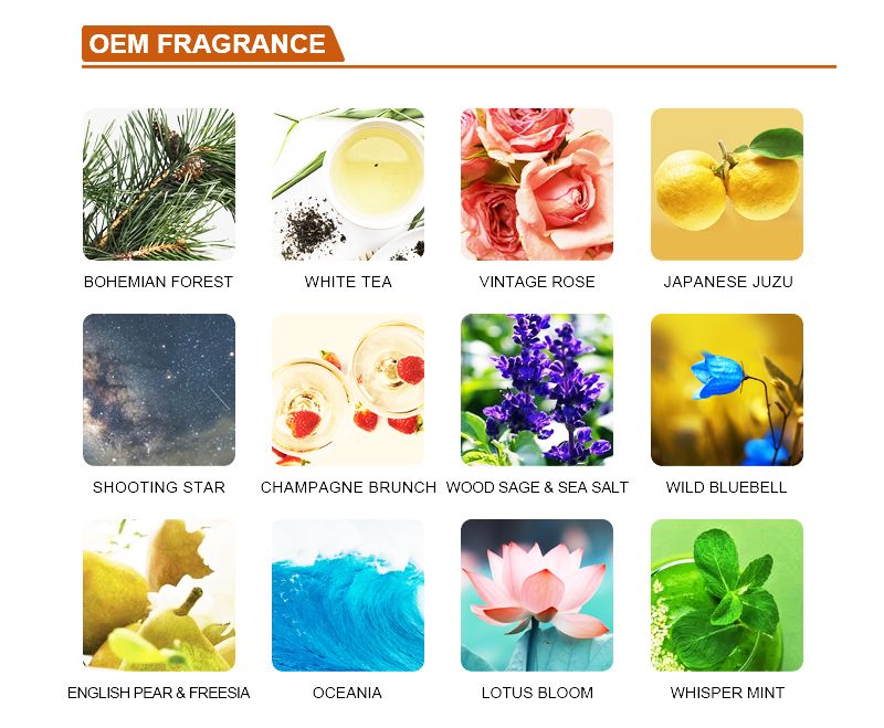 Amazon Hot Sale Scented Candle Balance Harmony (water lily pear) Frosted Glass Candle Jar Scented Candles in Bulk
