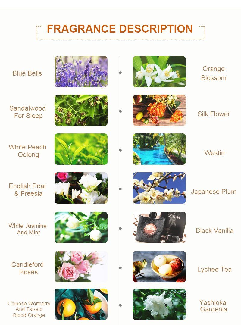 Amazon Hot Sale Scented Candle Balance Harmony (water lily pear) Frosted Glass Candle Jar Scented Candles in Bulk