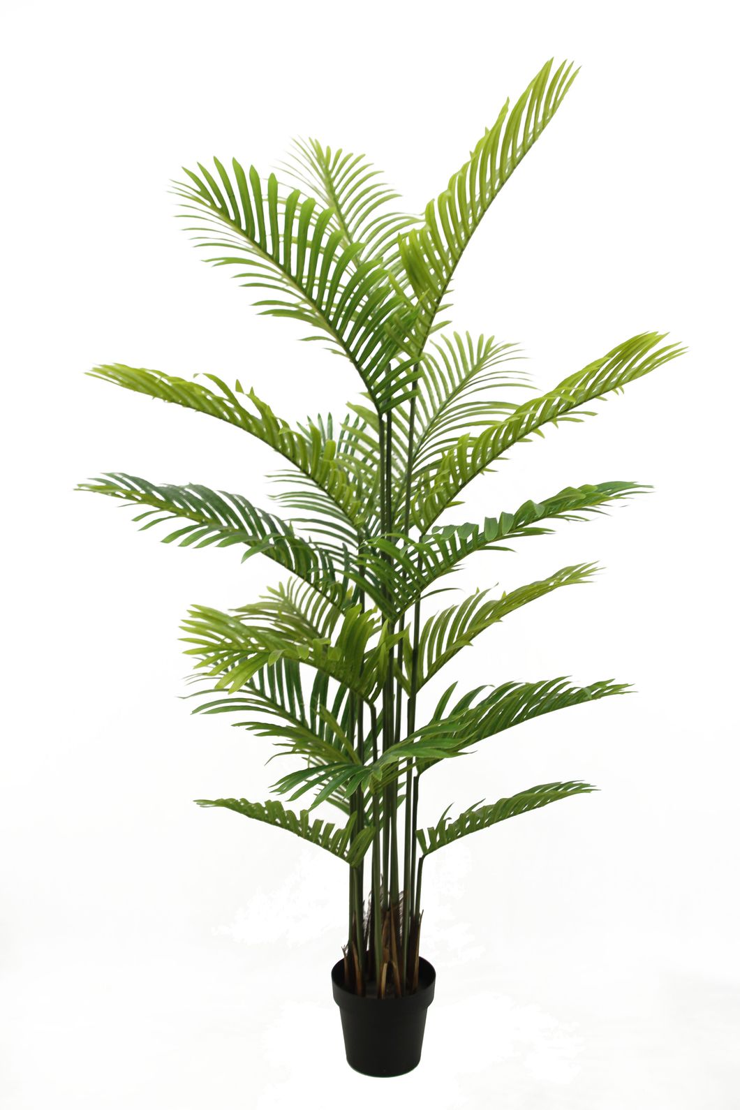Artificial Decoration Gift Green Tips Tree with 80cm Height