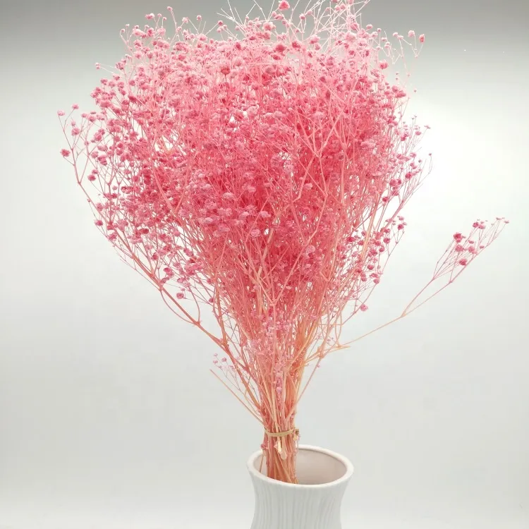 Best Selling Ornamental Flower Online Best Selling Decorative Dried Babysbreath Gypsophila
