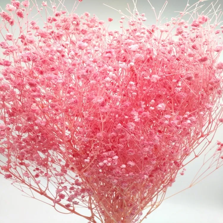 Best Selling Ornamental Flower Online Best Selling Decorative Dried Babysbreath Gypsophila
