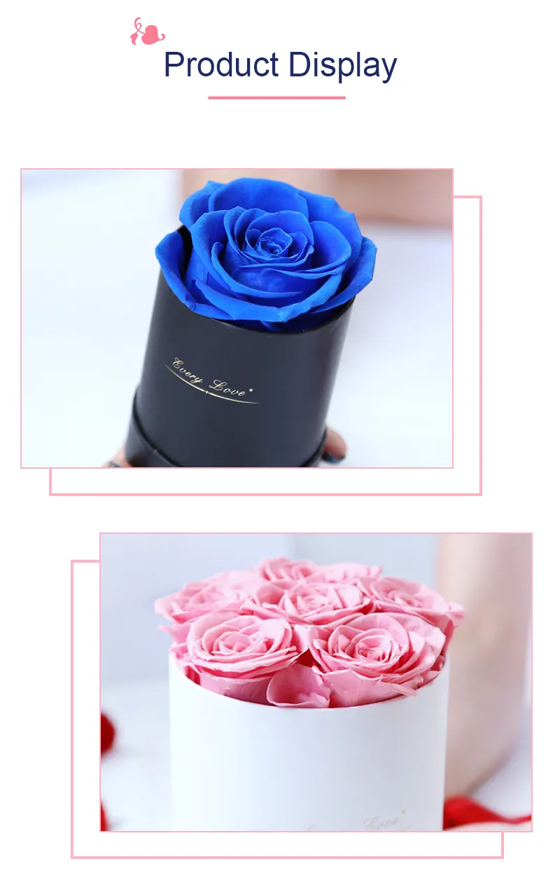 Best Valentine′s Day Gifts Preserved Flower Rose Eternal Preserved Rose in Acrylic Box for Gift