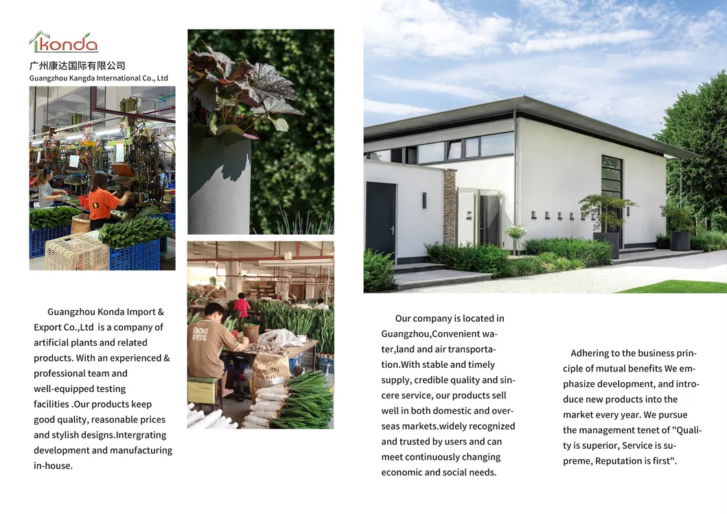 Boxwood Topiary Tree with Willow Sticks Home Garden Decoration