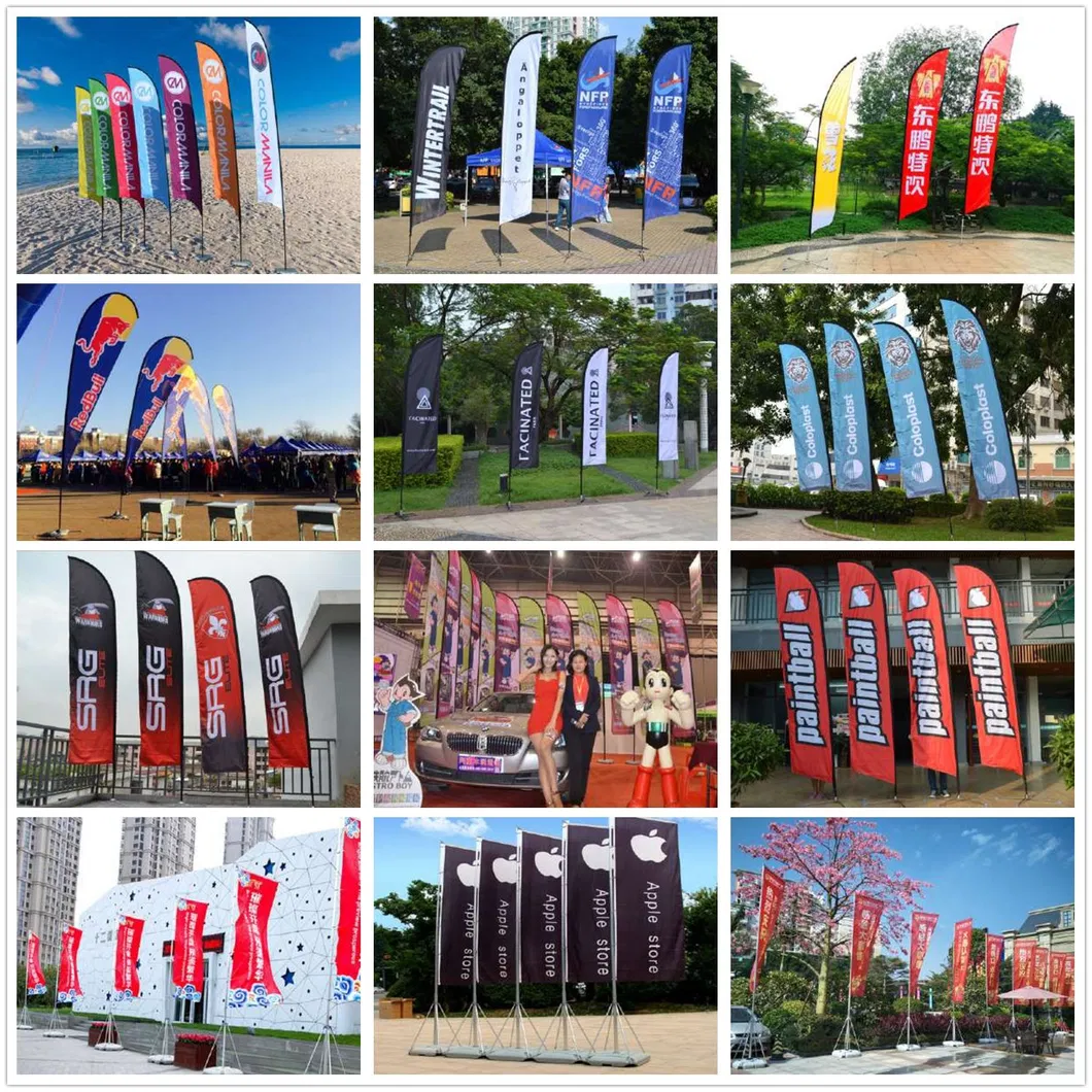 Cheap Custom Printing Polyester Outdoor Teardrop Advertising Beach Flag Banner-W00110