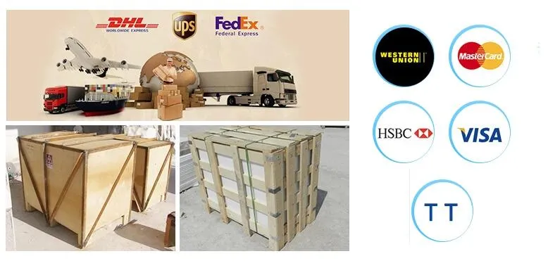 Church Garden Decoration Bronze Pope Catholic Statue Figure Religious Sculpture