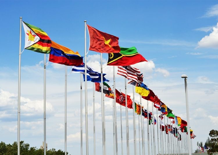 Custom Polyester Directed Printed Flags 100d Woven National Flags