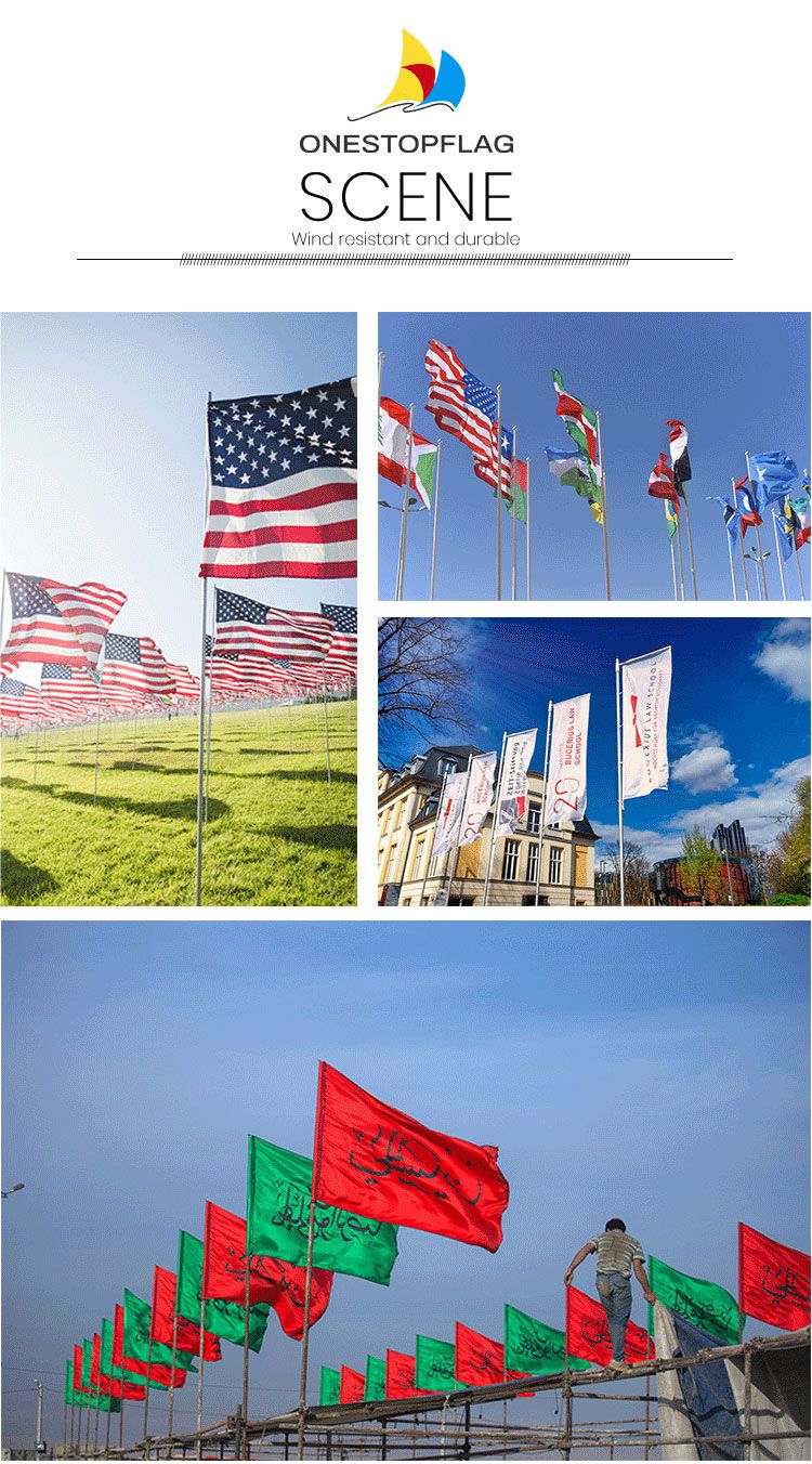 Custom Polyester Directed Printed Flags 100d Woven National Flags