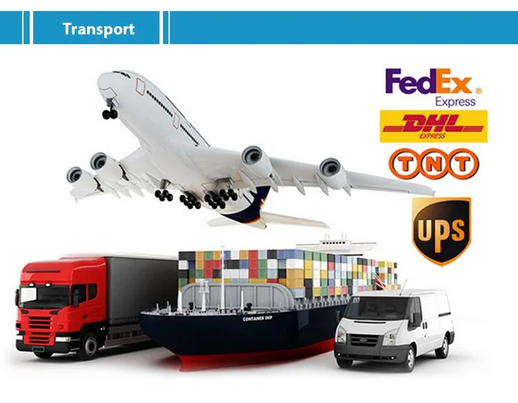 Custom Sketch Figure Sculpture Ornament Home Art Decoration Resin Bust David Venus Statue