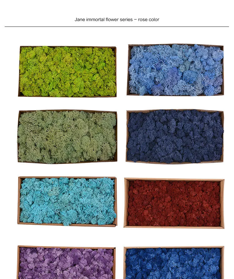 Dried Flower Immortal Flower Material 500g Large Box of Moss