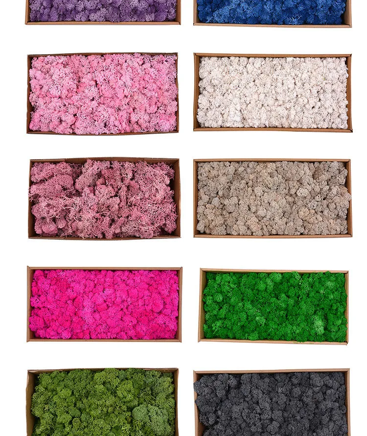 Dried Flower Immortal Flower Material 500g Large Box of Moss