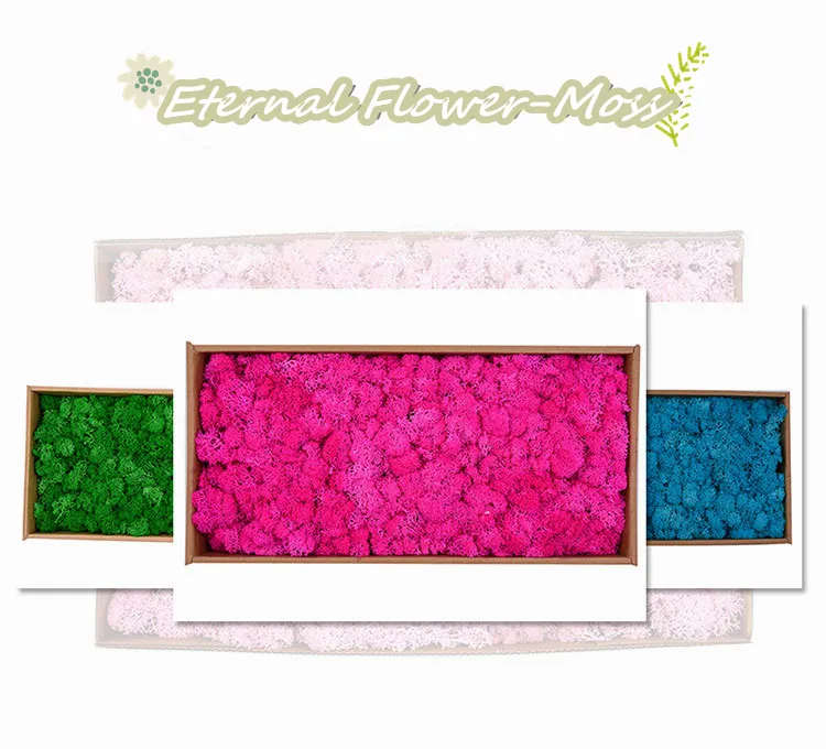 Dried Flower Immortal Flower Material 500g Large Box of Moss