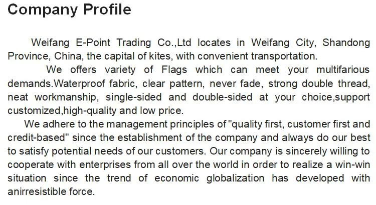 Echl South Carolina Stingrays Flag 3X5FT (90X150cm) Big Size Full Size Flags Christmas Festival Celebrate Decorative Banner