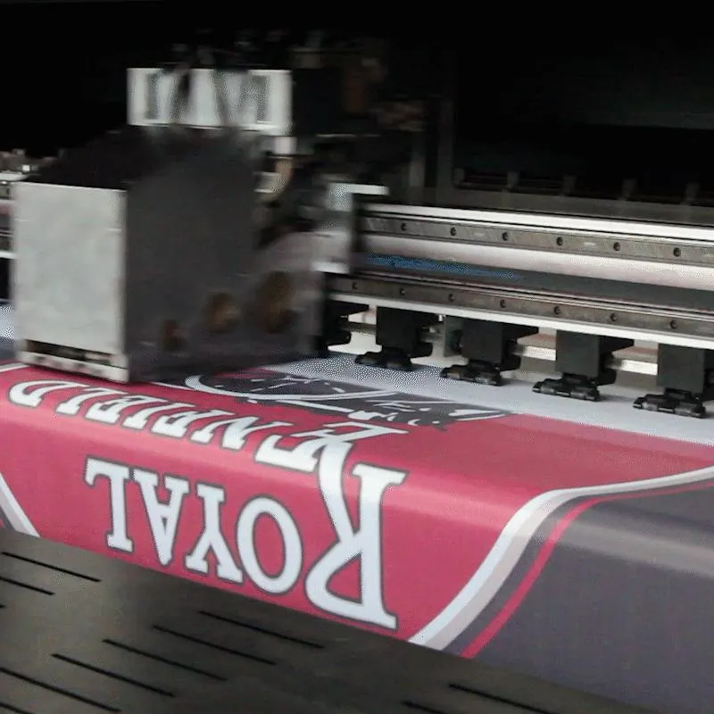 Echl South Carolina Stingrays Flag 3X5FT (90X150cm) Big Size Full Size Flags Christmas Festival Celebrate Decorative Banner