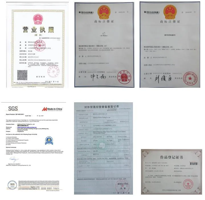 Echl South Carolina Stingrays Flag 3X5FT (90X150cm) Big Size Full Size Flags Christmas Festival Celebrate Decorative Banner