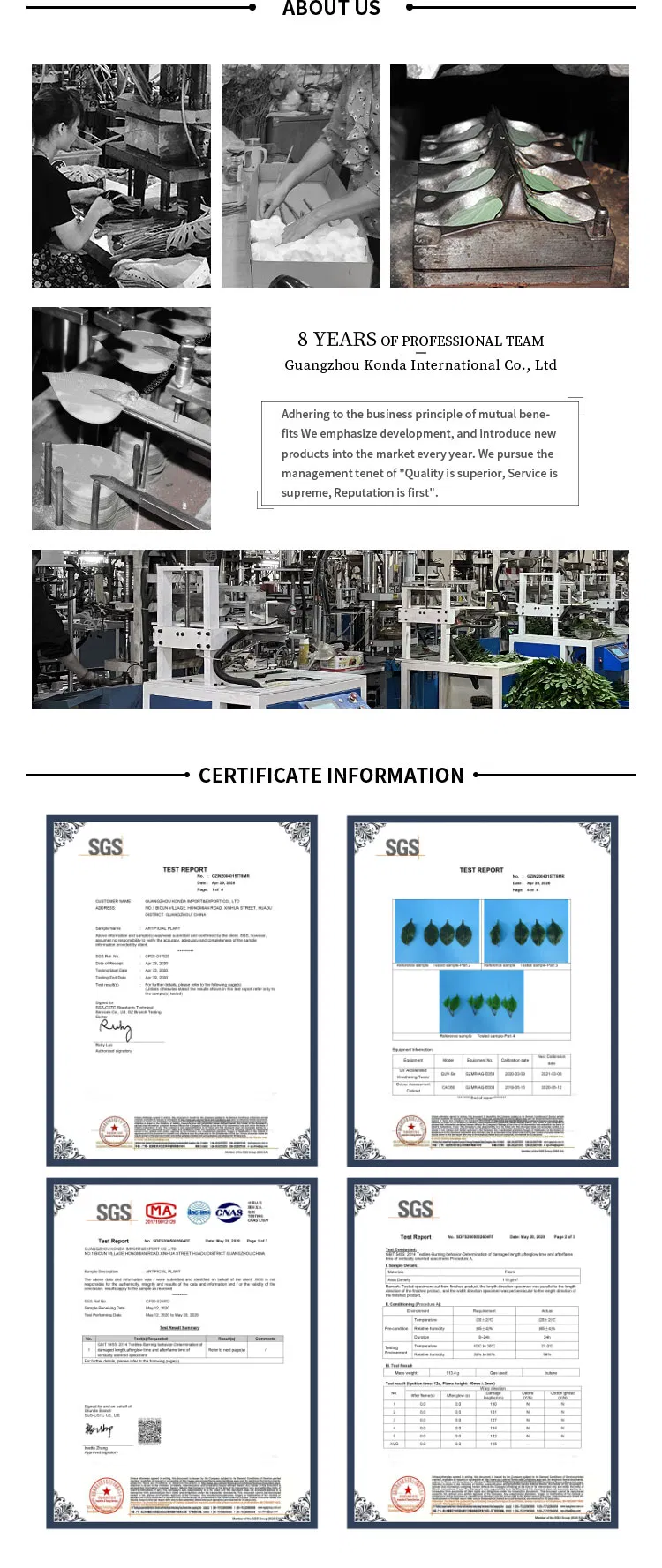 Factory Sale Cheap PE Plant Artificial Bonsai Plant Monstera for Decoration