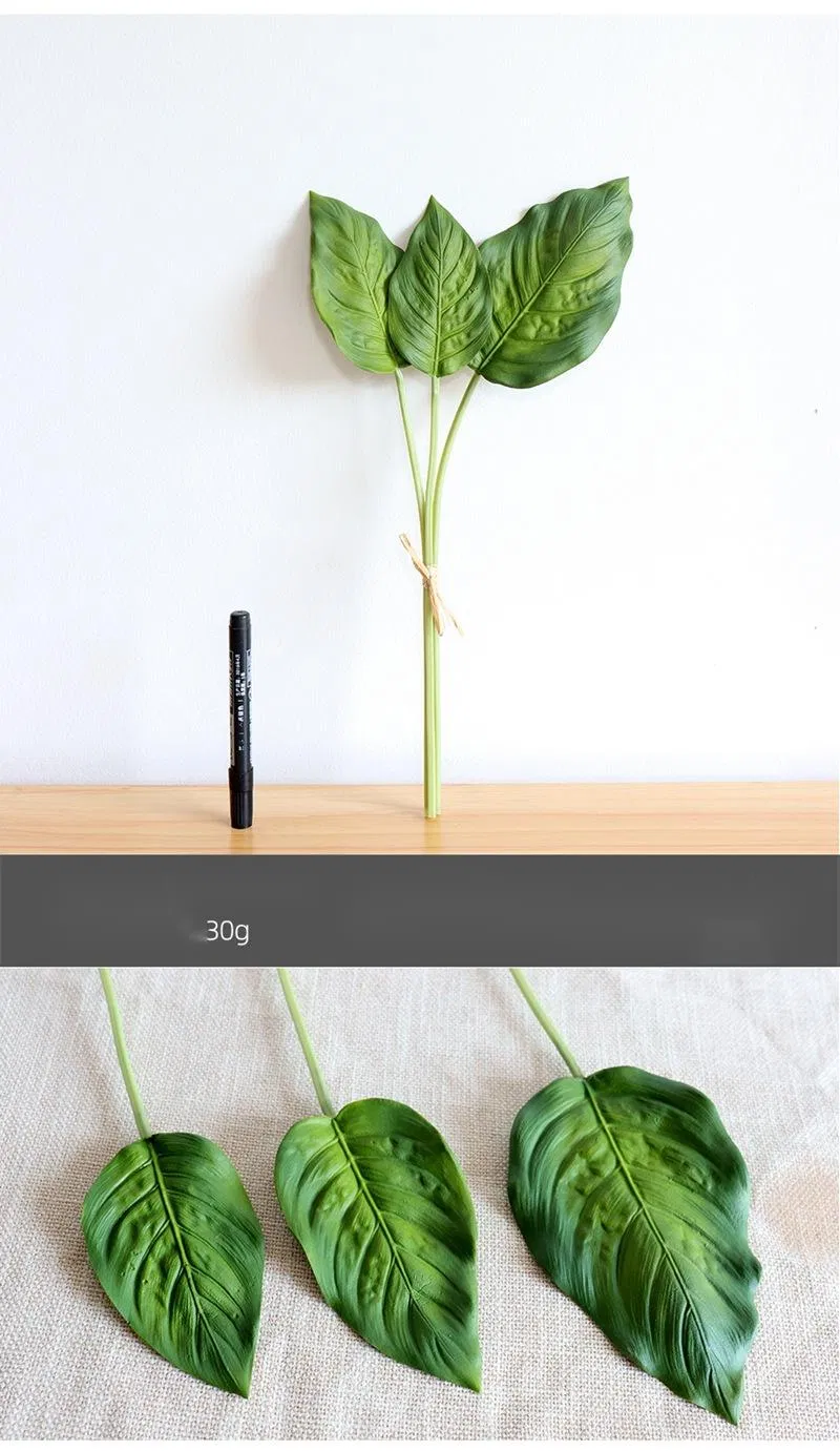 Fast Delivery Gift Flower and Green Leaf for Vertical Garden Green Wall