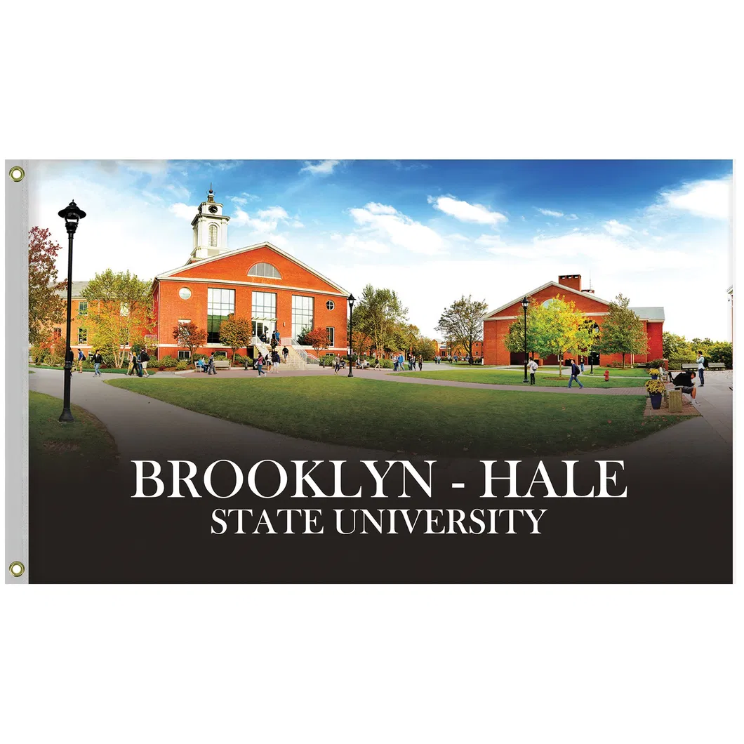 Fully Sublimated Flag Single Sided 3′ X 5′