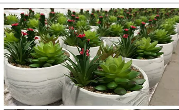 High Quality with Artistic Flowerpot PE Meaty Plant Appearance, Used for Interior Decoration