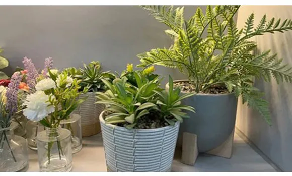 High Quality with Artistic Flowerpot PE Meaty Plant Appearance, Used for Interior Decoration