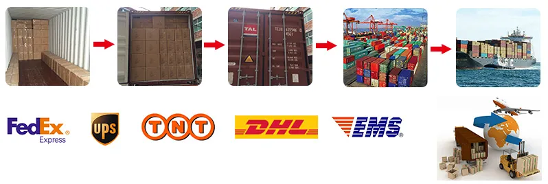 Hot Sale Christmas Resin Water Balls Santa′s Snowball for Xmas Decoration