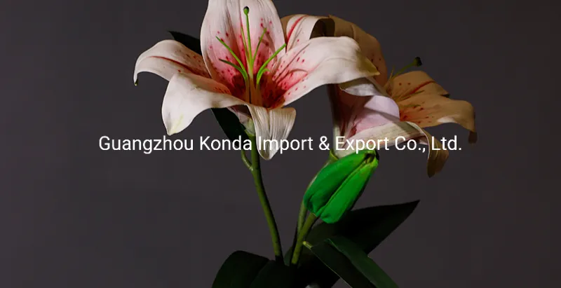 Hot Selling Natural Soft Touch Can Be Used as a Gift or Home Decor Can Be Customized Tulip Bundle