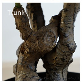 Indoor Decorative Artificial Plant Leaves Plastic Orchid Leave Tree