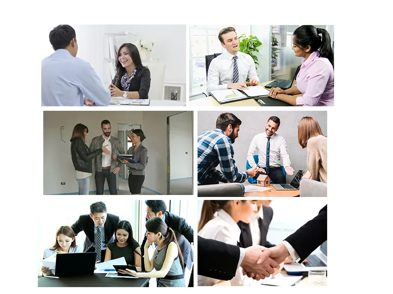 Manufacture Monkey Chimpanzee Bronze Animal Statue Bronze Garden Sculpture for Sale