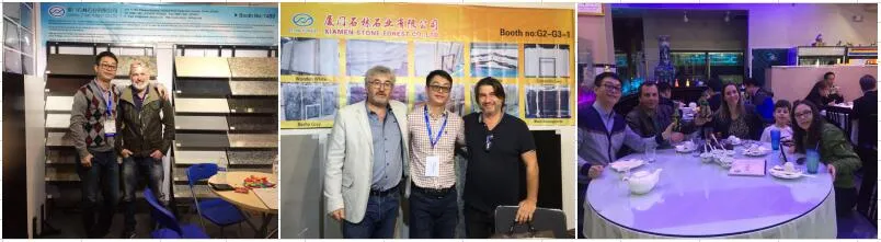 Natural Stone Grey Granite Parrot Sculpture SF-ST-068 for Garden Landscape