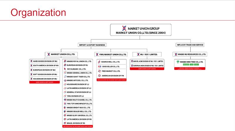 New Hot Selling LED Wizard String Lights for Halloween Decoration