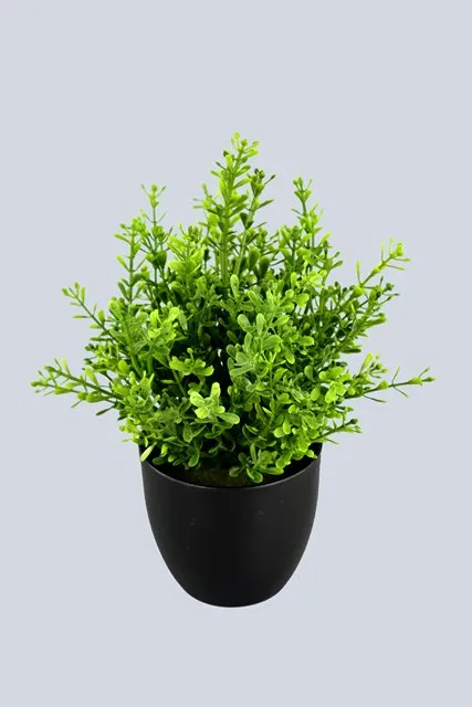 Plastic PE Boxwood Mini Bonsai Artificial Plant with Pot for Home Garden Decoration (51219)