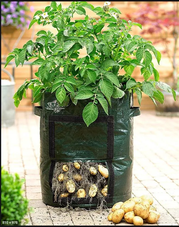 Plastic Potato Grow Bag PE Potato Bag Planting Bag Planter Bag