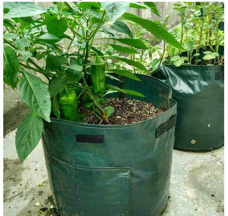 Plastic Potato Grow Bag PE Potato Bag Planting Bag Planter Bag