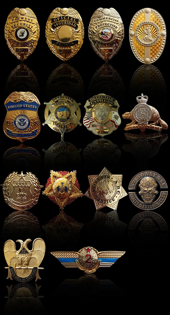 Promotional Gift Enamel Metal Security Lapel Pin (108)