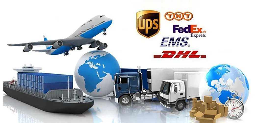 Sundried Giant Fan Palm Dried Sago Palm Leaves