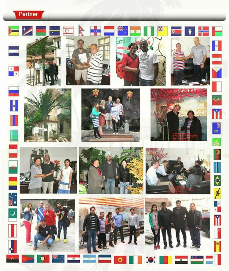 Wholesale Factory Real Touch Indoor Decorative Green Bonsai Artificial Snake Plant